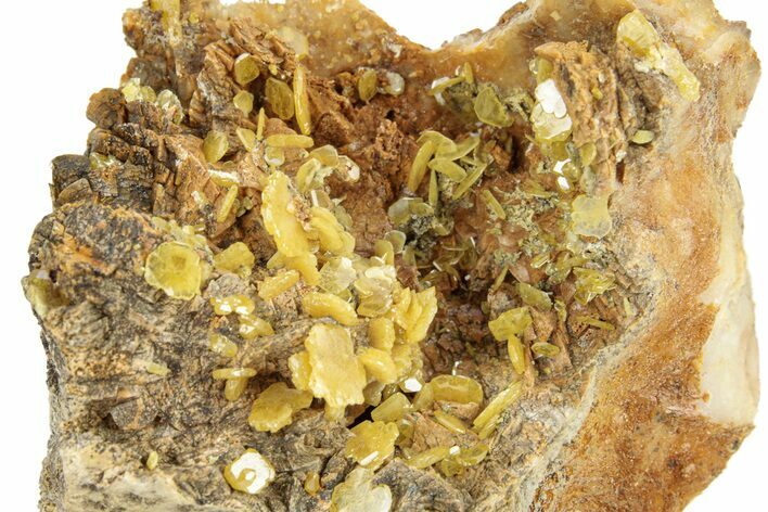 Yellow Tabular Wulfenite Crystals on Dolomite - Morocco #258053
